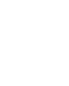 Loyalty and Incentives