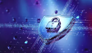 Fraud in the Age of Agentic Commerce