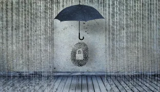 2022 Identity Protection Service Provider Scorecard